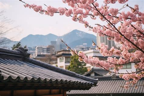 臨沂哪個山上能住宿：探究山嶽與旅人的交集